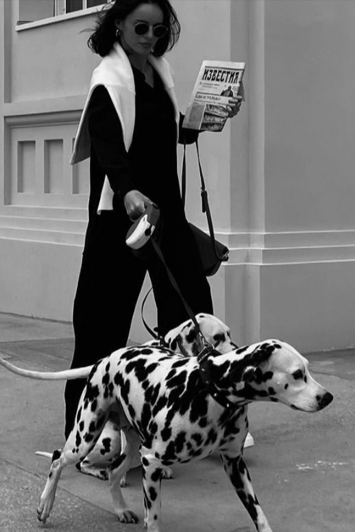 Top Training Techniques and Tips for Dogs