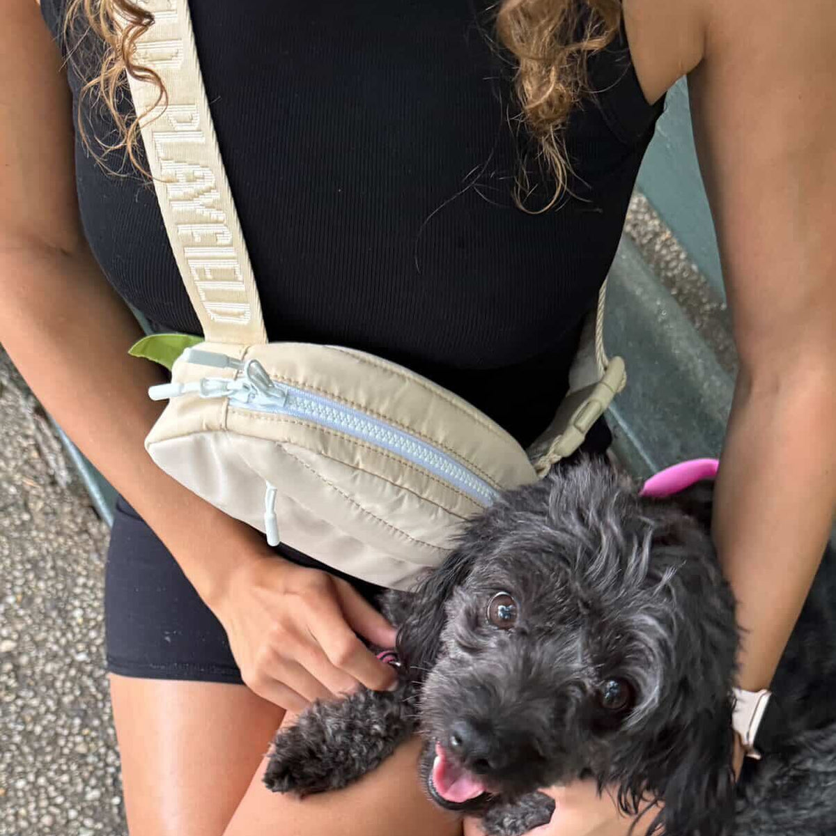 A person sitting on a bench holding a small black dog, wearing a beige crossbody bag with the brand name 'PLAYFIELD' printed on the strap.